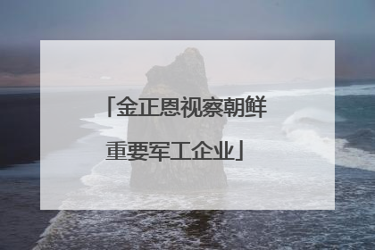 金正恩视察朝鲜重要军工企业