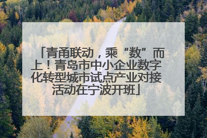 青甬联动，乘“数”而上！青岛市中小企业数字化转型城市试点产业对接活动在宁波开班