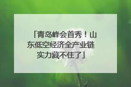 青岛峰会首秀！山东低空经济全产业链实力藏不住了