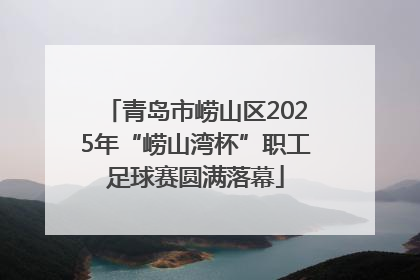 青岛市崂山区2025年“崂山湾杯”职工足球赛圆满落幕