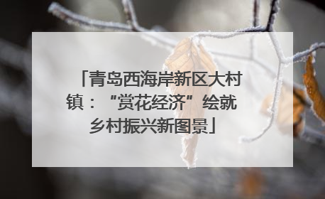 青岛西海岸新区大村镇：“赏花经济”绘就乡村振兴新图景