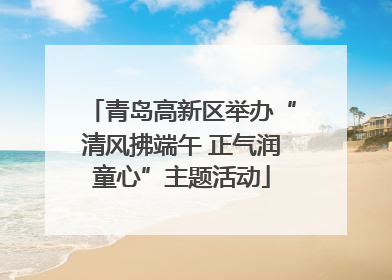 青岛高新区举办“清风拂端午 正气润童心”主题活动