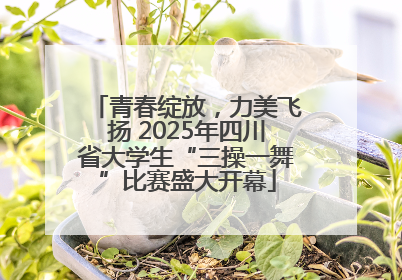 青春绽放，力美飞扬 2025年四川省大学生“三操一舞”比赛盛大开幕