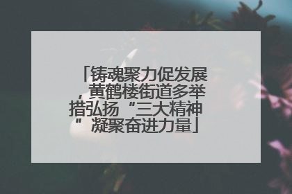 铸魂聚力促发展，黄鹤楼街道多举措弘扬“三大精神”凝聚奋进力量