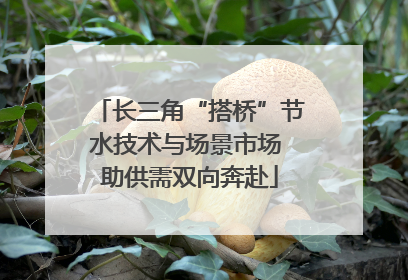 长三角“搭桥”节水技术与场景市场 助供需双向奔赴