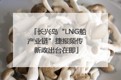 长兴岛“LNG船产业链”捷报频传 新政出台在即