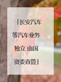 长安汽车等汽车业务独立 由国资委直管