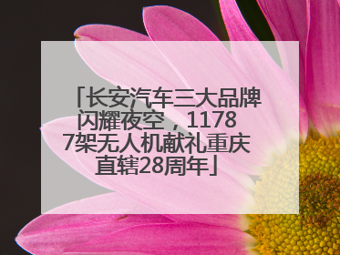 长安汽车三大品牌闪耀夜空，11787架无人机献礼重庆直辖28周年