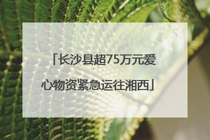 长沙县超75万元爱心物资紧急运往湘西