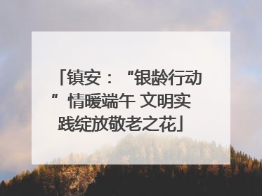 镇安：“银龄行动”情暖端午 文明实践绽放敬老之花
