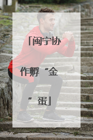 闽宁协作孵“金”蛋
