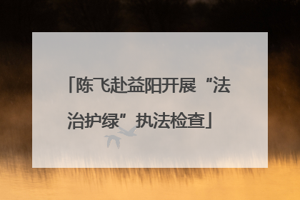 陈飞赴益阳开展“法治护绿”执法检查