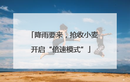 降雨要来，抢收小麦开启“倍速模式”