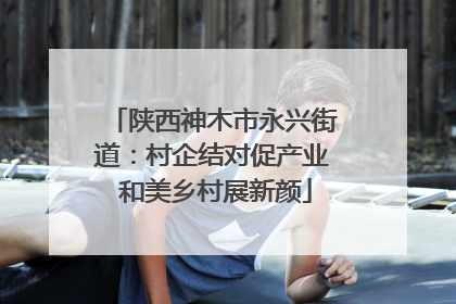 陕西神木市永兴街道：村企结对促产业 和美乡村展新颜