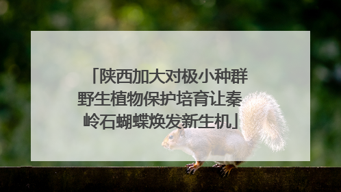 陕西加大对极小种群野生植物保护培育让秦岭石蝴蝶焕发新生机