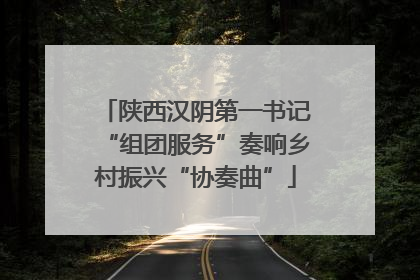 陕西汉阴第一书记“组团服务”奏响乡村振兴“协奏曲”
