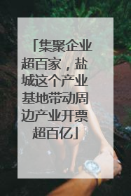 集聚企业超百家，盐城这个产业基地带动周边产业开票超百亿