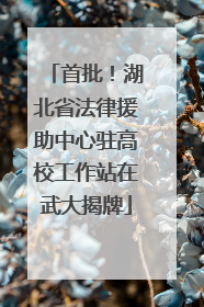 首批！湖北省法律援助中心驻高校工作站在武大揭牌