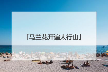 马兰花开遍太行山