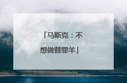 马斯克：不想做替罪羊