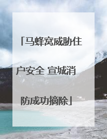 马蜂窝威胁住户安全 宣城消防成功摘除