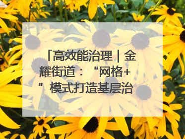 高效能治理|金耀街道:“网格+”模式打造基层治理新样板