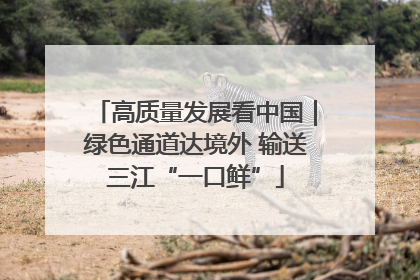 高质量发展看中国｜绿色通道达境外 输送三江“一口鲜”