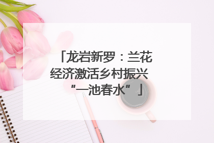 龙岩新罗：兰花经济激活乡村振兴“一池春水”