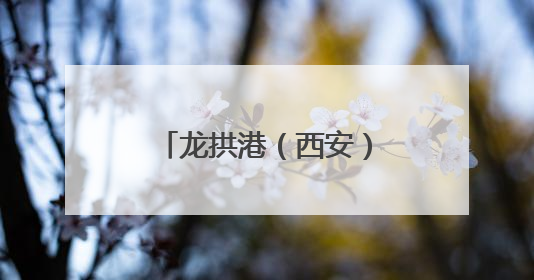 龙拱港（西安）多式联运 “一单制、一箱制” 推介会成功举办