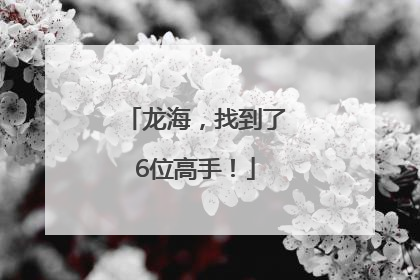 龙海，找到了6位高手！