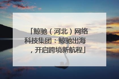 鲸驰（河北）网络科技集团：鲸驰出海，开启跨境新航程
