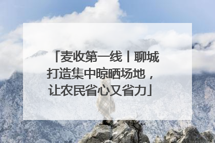 麦收第一线丨聊城打造集中晾晒场地，让农民省心又省力