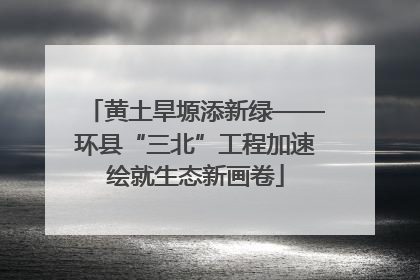 黄土旱塬添新绿——环县“三北”工程加速绘就生态新画卷
