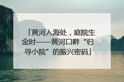 黄河入海处，庭院生金时——黄河口畔“归寻小院”的振兴密码