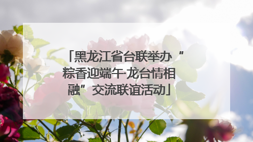 黑龙江省台联举办“粽香迎端午·龙台情相融”交流联谊活动