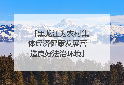 黑龙江为农村集体经济健康发展营造良好法治环境