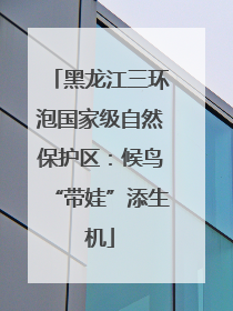 黑龙江三环泡国家级自然保护区：候鸟“带娃”添生机
