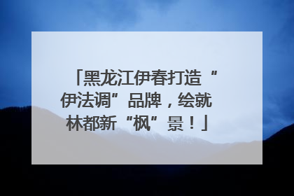 黑龙江伊春打造“伊法调”品牌，绘就林都新“枫”景！