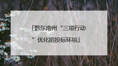 黔东南州“三项行动”优化招投标环境