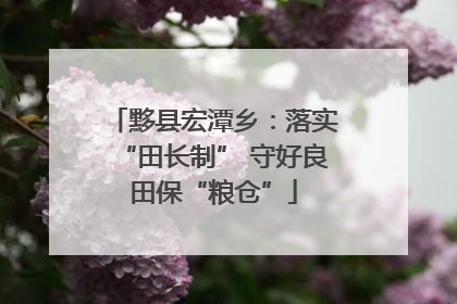 黟县宏潭乡：落实“田长制” 守好良田保“粮仓”