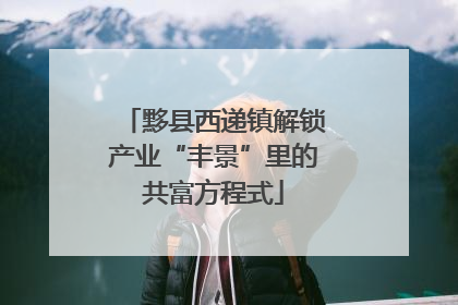 黟县西递镇解锁产业“丰景”里的共富方程式