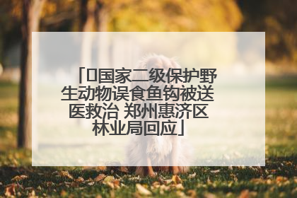 ﻿国家二级保护野生动物误食鱼钩被送医救治 郑州惠济区林业局回应