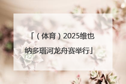 （体育）2025维也纳多瑙河龙舟赛举行