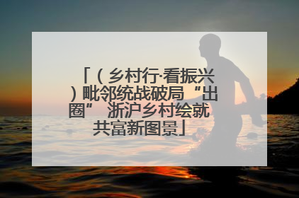（乡村行·看振兴）毗邻统战破局“出圈” 浙沪乡村绘就共富新图景