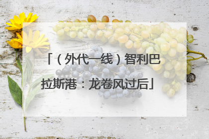 （外代一线）智利巴拉斯港：龙卷风过后