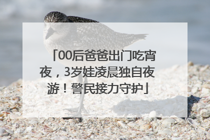 00后爸爸出门吃宵夜，3岁娃凌晨独自夜游！警民接力守护