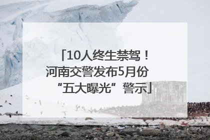 10人终生禁驾！河南交警发布5月份“五大曝光”警示