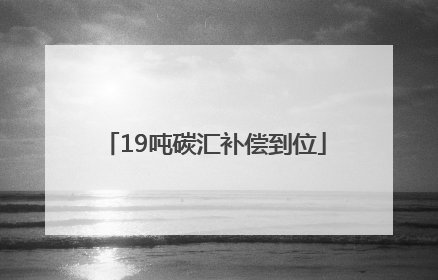 19吨碳汇补偿到位