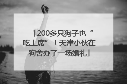 200多只狗子也“吃上席”！天津小伙在狗舍办了一场婚礼