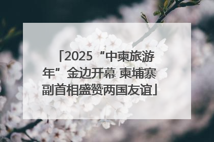 2025“中柬旅游年”金边开幕 柬埔寨副首相盛赞两国友谊